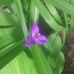 Cindy Daigle - Facebook