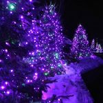 Cindy Voussine Daigle - @cinda623 - Instagram