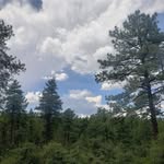 Cindy Dalton - @cindy_dalton - Instagram