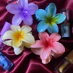 Cindy Dalton - @cindy712136 - Instagram