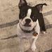 Cindy Darnell - Facebook