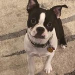 Cindy Darnell - @cindy.darnell37 - Instagram