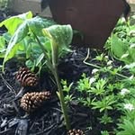 Cindy Dawson - @dawson2854 - Instagram