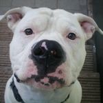 Cindy McCullough Deaton - @cindy.deaton.5 - Instagram
