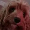 Cindy Dell - @cindydell1 - TikTok
