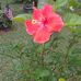 Cindy Dell - Facebook