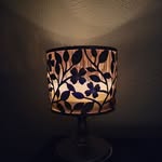 Cindy DeLong - @ckd1964 - Instagram