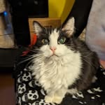 Cindy Denham - @cindydenham - Instagram