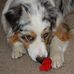 Cindy Denham - Facebook