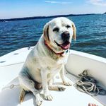 Cindy Owens Derrick - @cindyowensderrick - Instagram
