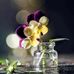 Cindy Dever - Facebook