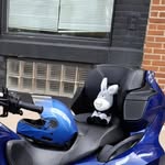 Cindy Weaver-Dirks - @cindy.weaver.3785 - Instagram