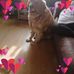 Cindy Tarr - Facebook