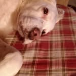 Cindy Lou Doherty - @cindycroschere - Instagram