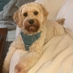 Cindy Doran - @cindydoran7 - Instagram