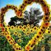 Cindy Doty - Facebook