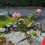 Cindy Dougherty - @cindyd1970 - Instagram