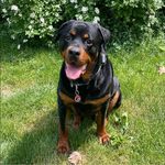 Cindy Elberling Dougherty - @cindy.e.dougherty - Instagram