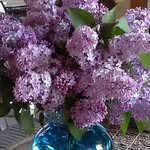 Cindy Doyle - @cindy.doyle.330 - Instagram