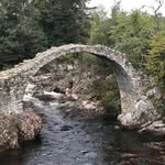 Cindy Doyle - @cindydoyle1957 - Instagram