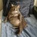 Cindy Eads - Facebook