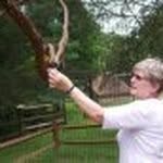 Cindy Eckert - @cae4psu - Instagram
