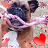 Cyndi Eckert - @cyndi.eckert - TikTok
