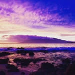 Cindy Elsberry - @cindyelsberry1 - Instagram