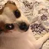 cengel - @cindyengel62 - TikTok
