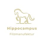 Cindy Engel - @_hippocampus_filzmanufaktur_ - Instagram