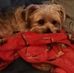 Cindy Engel - Facebook