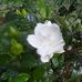 Cindy Futch Epps - Facebook