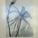 Cindy Erickson - @cindyerickson55 - Instagram
