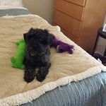 Cindy Erickson - @cindy_bobo05 - Instagram