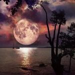 Cindy Erickson - @cindy.erickson.7 - Instagram