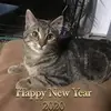 Cindy Ferrell - @cindyferrell31 - TikTok
