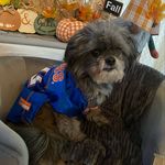 Cindy Ferrell aka Chewbacca’s mom - @chewbaccaferrell_ - Instagram