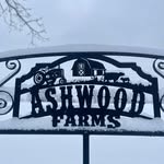Cindy Ferrell Ashwood - @cindyashwood - Instagram