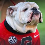 Cindy Ferrell Johnson - @cindyferrelljohnson - Instagram