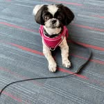 Cindy Ferrell Stan - @cindystan8 - Instagram