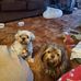 Cindy Fitzpatrick - Facebook