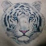 cindy fitzpatrick - @fitzpatrick5738 - Instagram