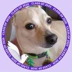 Cindy Fix - Facebook
