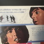 Cindy Foley - @cflbfoley - Instagram
