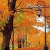 Cindy Foley - Facebook