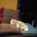 Cindy Foley - Facebook