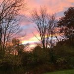 Cindy Foley - @foleycf53foley - Instagram