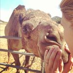 Cindy Frederick - @confnorbub911 - Instagram