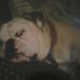 Cindy Frederick - Facebook