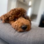Cindy Frederick - @lff1107 - Instagram